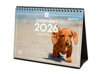 Finocam - Tafelkalender 2026 maandoverzicht januari - december 2026 + sep. - december 2025 (4 maanden) verlaagd | Kalender 2026 | Puppiefoto's - Catalaans