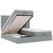 vidaXL Lit plateforme avec matelas et éclairage LED, gris clair, 180x200 cm, rembourré