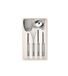 Tescoma FlexiSpace ladenhouder, wit, 37 x 22 x 4,5 cm
