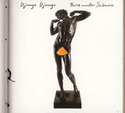 Born Django Django Born Under Saturn