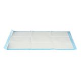 Well Home Wegwerponderleggers, 10 stuks, met super absorberende lijm, 60 x 90 cm, wit en blauw