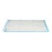 Well Home Wegwerponderleggers, 10 stuks, met super absorberende lijm, 60 x 90 cm, wit en blauw