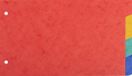 Intercalaires Exacompta 10x Tabbladen in gerecycled karton 225g - 4 tabs - 125x200mm - Geassorteerd