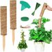 Jerzy Pikciun 2x Support de plante coco 30cm