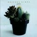 Sonic Rendezvous Rebecca Riots Gardener CD