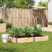 Maison Exclusive - Jardinière pour le jardin, 150 x 100 cm, fabriquée en pin massif