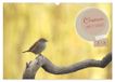Oiseaux Calvendo Oiseaux libres et sauvages (Calendrier mural 2026 DIN A3 vertical)