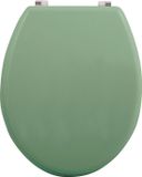 MSV WC Bril - CLEO - Toiletbril - MDF - Groen