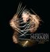 Drumlesson Christian Prommer - Drumlesson Zwei
