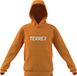 adidas Unisex niños Terrex Kids Multi Logo Hoodie, Pure Tangerine, 15-16 Years