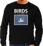 Bellatio Decorations Birds of the World Dieren foto sweater zilverreiger - zwart - heren - cadeau trui zilvereigers vogel liefhebber M
