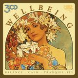 Bertus Distributie Various Artists - Wellbeing