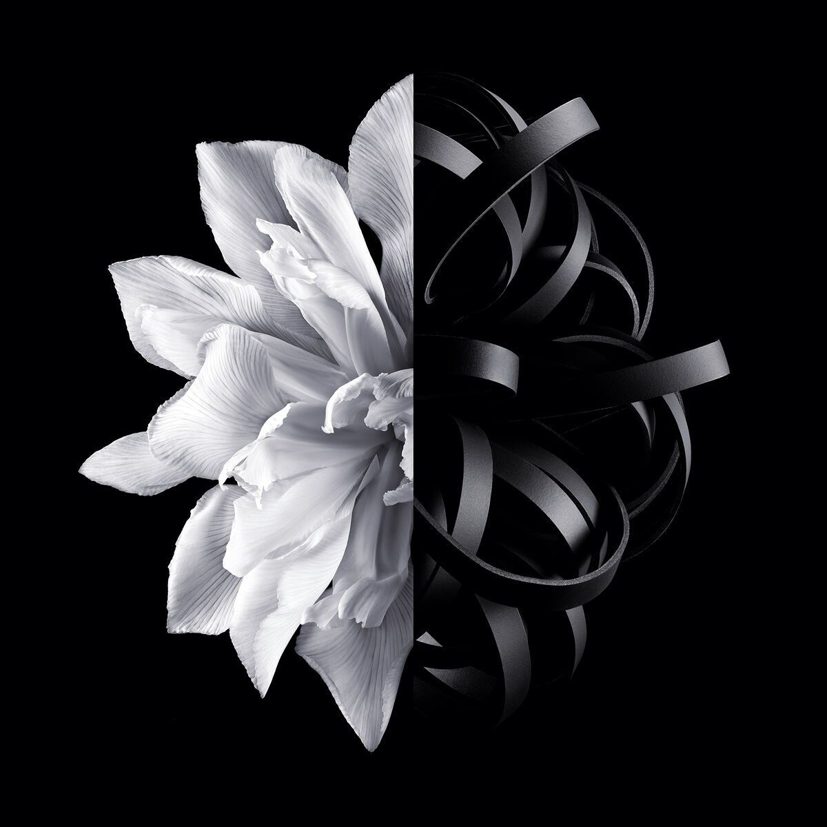 Givenchy L'Interdit / 50 (ml) / Women