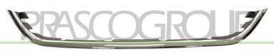 PRASCO Zier-/Schutzleiste, Kühlergitter DS0152206 | Compatibel met: NISSAN MICRA IV