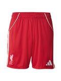 adidas Liverpool Thuisshorts 2025/26 - Maat Medium
