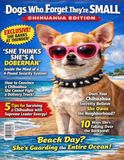 Dogs Who Forget They’re Small: Fake Chihuahua Magazine Cover Gag Gift for Chihuahua Moms & Small Dog Lovers | Funny Retro Parody | 100 Lined Pages Notebook Paperback