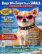 Dogs Who Forget They’re Small: Fake Chihuahua Magazine Cover Gag Gift for Chihuahua Moms & Small Dog Lovers | Funny Retro Parody | 100 Lined Pages Notebook Paperback