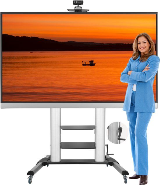 STRALEX TV Vloerstandaard Professioneel TW61L Large - Draaibaar - 60-100 inch - Zilvergrijs