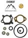 BRIGGS&STRATTON QUANTUM kit de joints