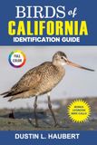 BIRDS OF CALIFORNIA IDENTIFICATION GUIDE: A Beginner's Field Guide to Explore Over 80 Iconic Bird Species, with Logbook