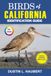 BIRDS OF CALIFORNIA IDENTIFICATION GUIDE: A Beginner's Field Guide to Explore Over 80 Iconic Bird Species, with Logbook