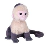 Wild Republic Rainforest Hoodie met wit gezicht, pluche dier, 15 cm
