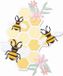 Sizzix Thinlits Die Set Bee Hive 11 Pieces