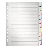 Leitz 43700000 Indextabs grijs