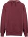 Dickies Plentywood Hoodie Rood M