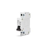 Miniatuur stroomonderbreker 1P+N 10A C curve grijs voor elektrische beveiliging en circuitcontrole