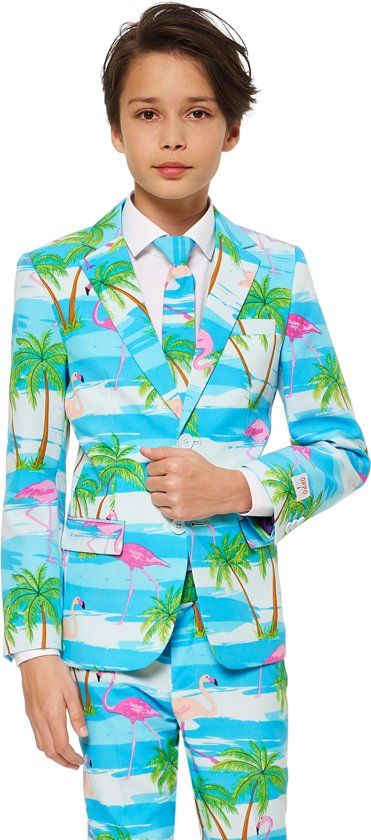 OppoSuits TEEN BOYS Flaminguy