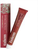 Exitenn Permanente Kleur Color Creme Nº 462 Eggplant (60 ml)