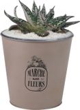 Sunnydays Emmer/plantenpot/bloempot - zink - taupe - D23 x H22 cm