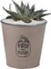 Sunnydays Emmer/plantenpot/bloempot - zink - taupe - D23 x H22 cm