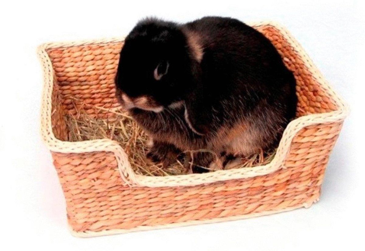 Rosewood Chill 'N' Snooze Knaagdierbed - 33X26 CM