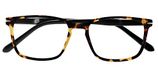 VICINO Reading Glasses - Dioptries +3.00-1 Uni