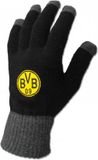 Borussia Dortmund touchscreen handschoenen maat Large, zwart, acryl, unisex, volwassenen, modieuze handschoenen