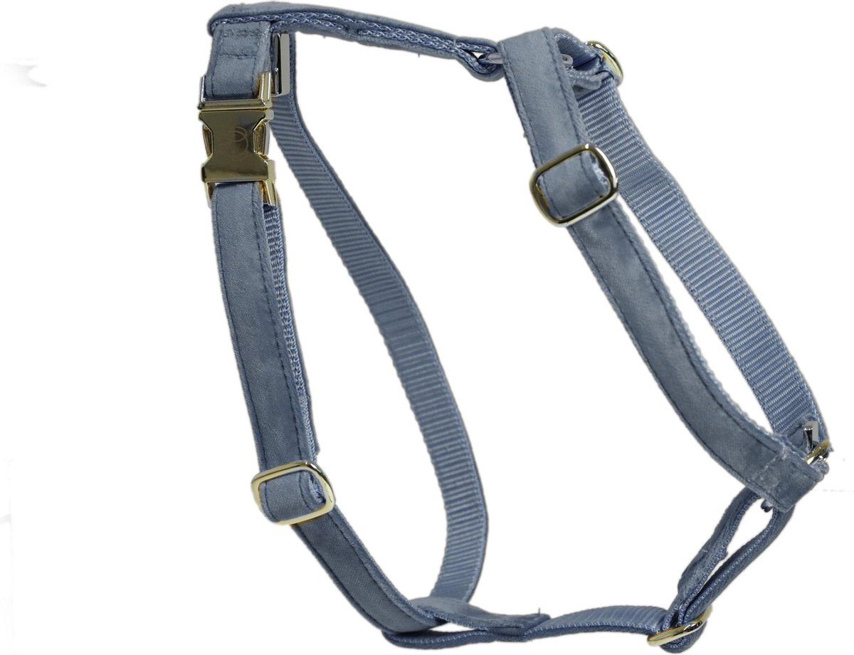 Kentucky Dogwear Kentucky Hondentuig Loop Licht Blauw L 75-100 Cm