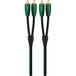 AudioQuest Evergreen RCA Audio Cable - 0.6m - Black