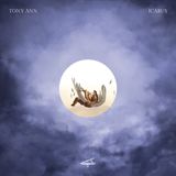 Universal Music Nederland Tony Ann - Icarus (LP) (Etched Vinyl)