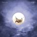 Universal Music Nederland Tony Ann - Icarus (LP) (Etched Vinyl)