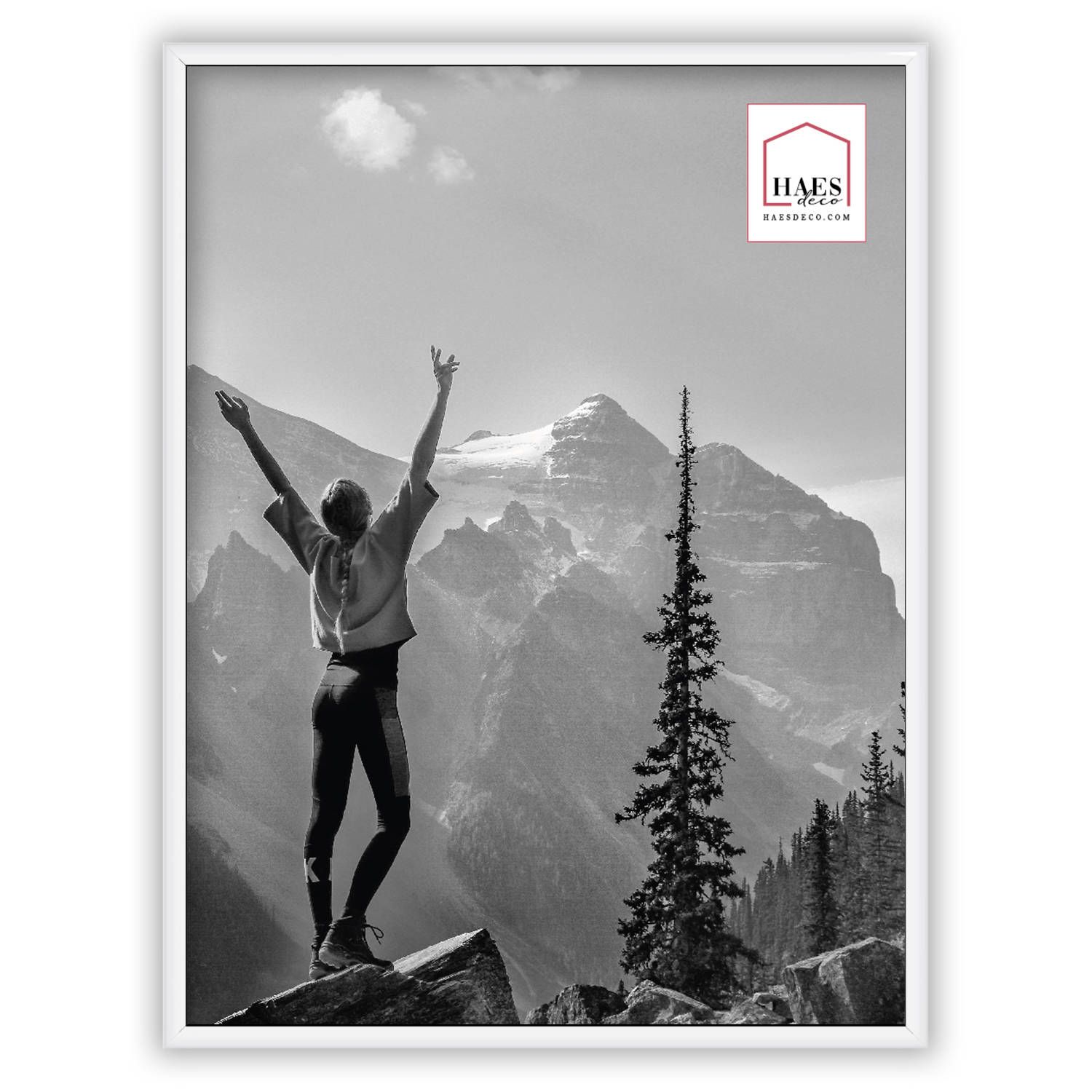 HAES deco - Kunststof fotolijst 30x40 wit Easy Frame - EF5W