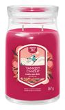 Yankee Candle Santa on Skis Large Jar Geurkaars