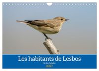 Les Calvendo Les habitants de Lesbos Ile des cyclades (Calendrier mural 2027 DIN A4 vertical), CALVENDO calendrier mensuel