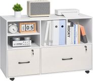 VEVOR Archiefkast Kantoorkast met 2 Laden Verstelbare Planken Wit