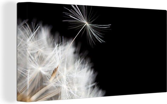 OneMillionCanvasses Canvas schilderij 160x80 cm - Paardenbloem - Modern - Multicolor