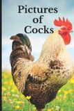 Pictures Independently Published Pictures of Cocks Paperback