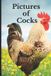 Pictures Independently Published Pictures of Cocks Paperback