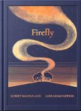 The Firefly: The Night Creatures – A Guardian Book of the Year