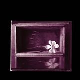 Hymns Rob Crow & Kramer - Hymns (7" Single)
